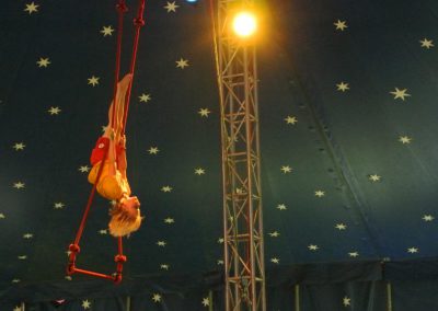 spectacle école c'est-le-cirque